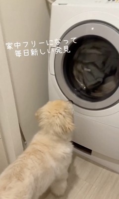 ぐるぐるが気になってる?