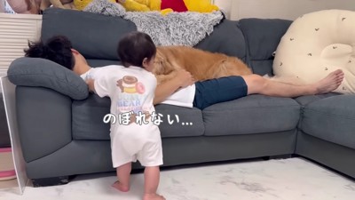 羨ましそうなほのちゃん