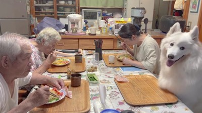わんこたちのおかげ！？