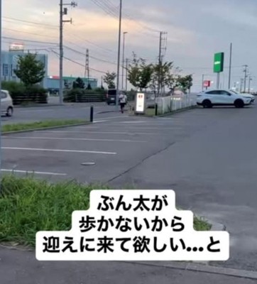 駐車場の向こうからやってくる犬と人