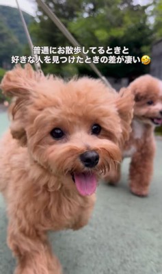 お母さんを見つけた時の福ちゃん＆米ちゃん2