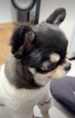 「何くれるの？」