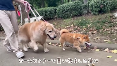 公園で遊んで帰ることに