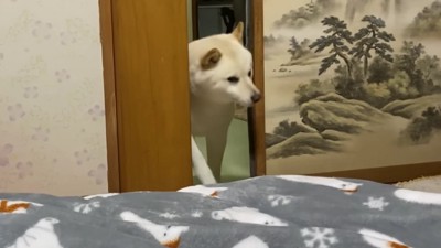 ガラリと襖を開けて…