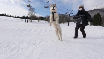 フィンくんも大歓喜！