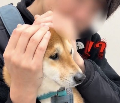 横を見て固まる犬