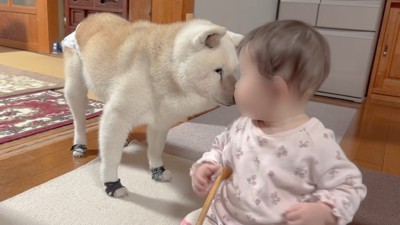 「なにも問題ない？」