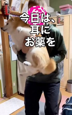 ここちゃんを抱っこするお父さん