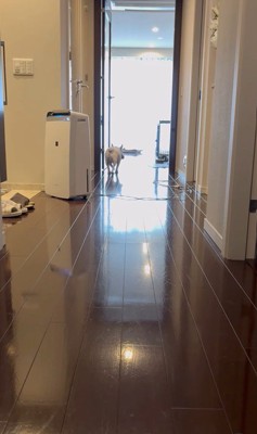 武蔵くんを呼んだ時の態度の差9