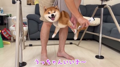 うにくんを励ますママ