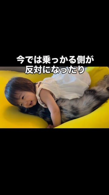 犬に乗っかり抱きつく子ども