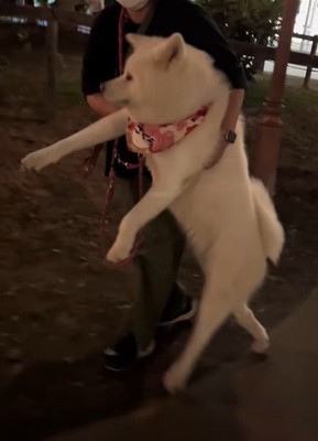 情けない姿が可愛い