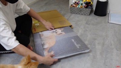 フォトパネルを飾った時のみるくちゃん2