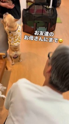 後ろ足で立って女性の足に身を寄せる犬