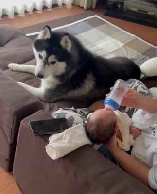 子守りするミハイルちゃん