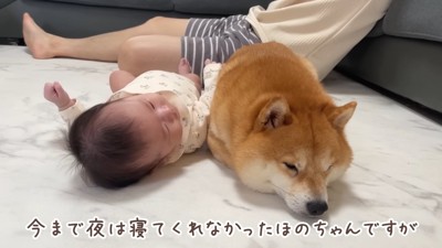 ほのかちゃんとうにちゃん