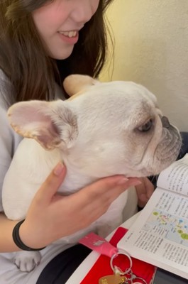 一緒に勉強する小型犬