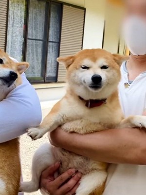 母犬の弓枝ちゃん♡