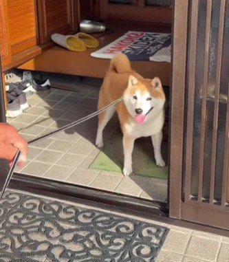 大満足のふじくんでした