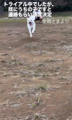 「すでにうちの子です」