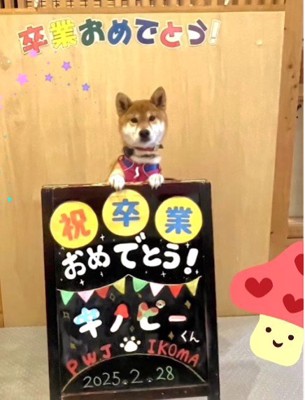 保護から3ヶ月後…