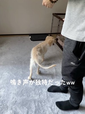 まだ体も小さいです