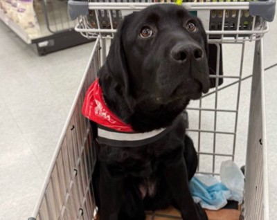 甘えん坊な女の子