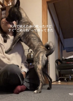 飼い主に抱きつく犬