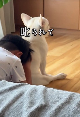 叱られて拗ねている男の子