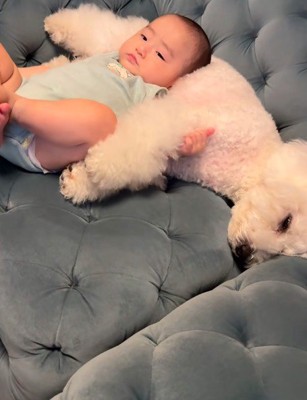 赤ちゃんと昼寝をするイヴちゃん