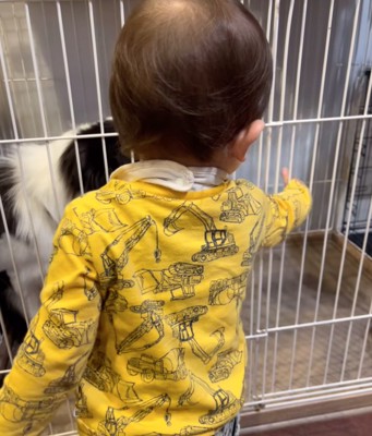 指示を出す男の子