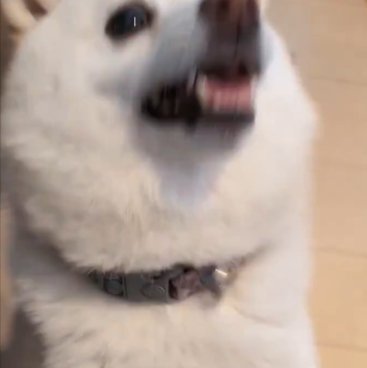 嬉しい
