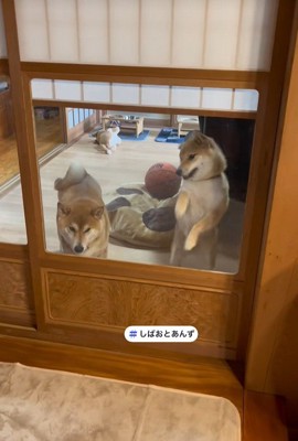 「僕も負けてられない！」