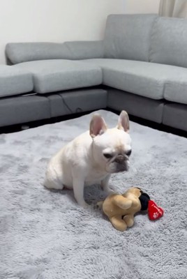 しょんぼりするアビーちゃん