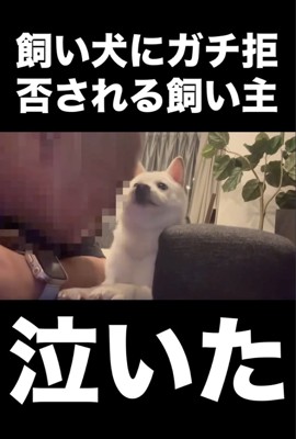 お顔をスッ