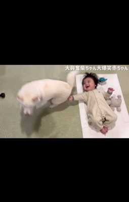 はしゃぐおまめ君&笑う赤ちゃん⑩