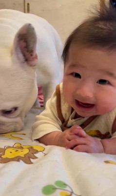 こぶし君と赤ちゃん4