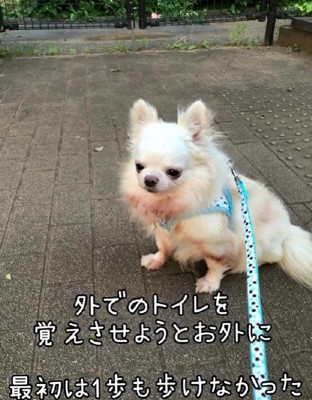 外で歩けない…