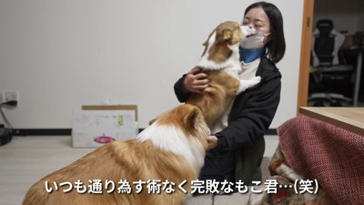 困惑するもこすけちゃん