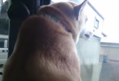 「まあ大丈夫やけどな」