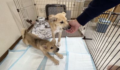 「おはようー!!」