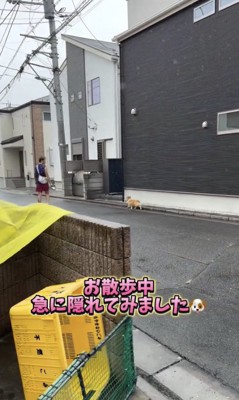 リアクションはいかに?