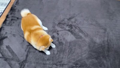 「まずは足裏を…」