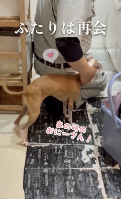 やっと会えた！