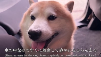 素敵なサプライズにホッコリ