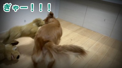 嫉妬するよもぎちゃん6