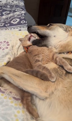 ワゾウスキくん&マイキーくん9