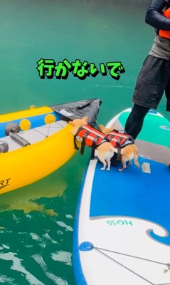 コマさんのハプニング2