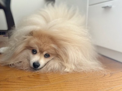 溶けてる
