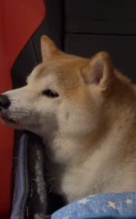 まさかの無表情に爆笑！